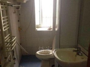 葡萄山南路精品房源出租 優質生活，盡在此處