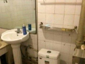 長治路電建二公司宿舍 緊鄰北美、48中的優質租房選擇