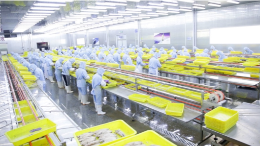 新質供給撬動內需藍海 85后海歸借力拼多多，魷魚仔年銷千萬的轉型啟示